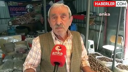 Ceviz Satışlarındaki Düşüş Nedeniyle Vatandaşlar Zor Durumda