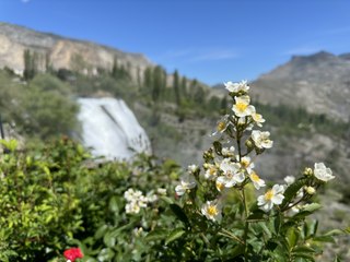 Türkiye'nin en büyük şelalesi coştu!