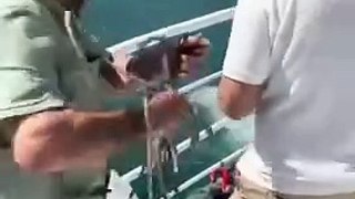 İstanbul Boğazı’nda denize düşen papağanı tekneden atlayıp kurtardı