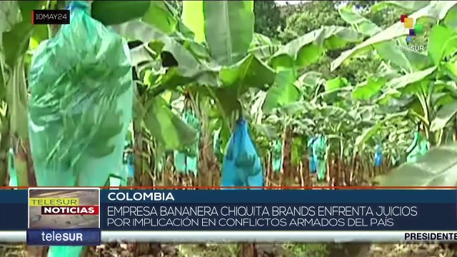 Chiquita Brand llamada a juicio por reparación a víctimas en Colombia