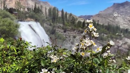 Tortum Şelalesi'nde bahar coşkusu