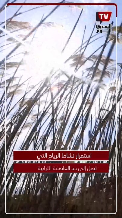متى تتحسن حالة الطقس وتنتهي العاصفة الترابية؟.. الأرصاد الجوية تجيب (تفاصيل)