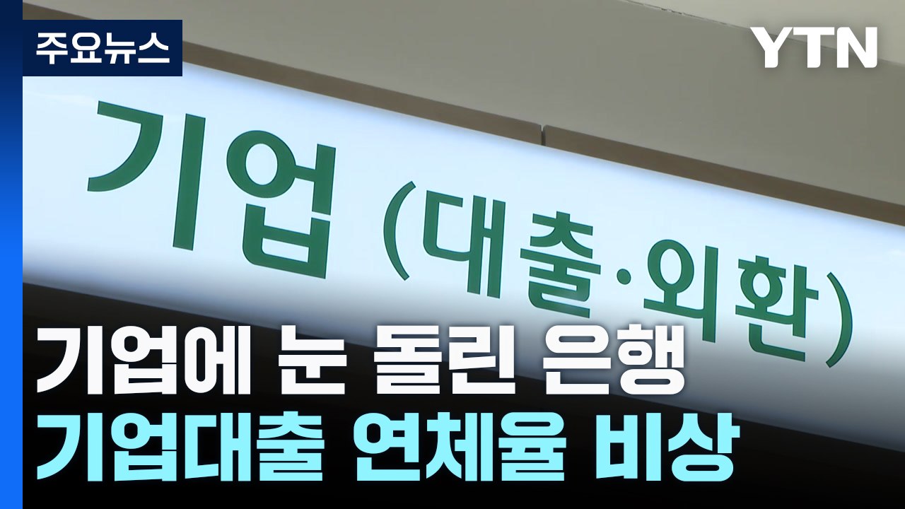 가계대출 막히자 기업에 눈 돌린 은행...'연체율' 비상 / YTN
