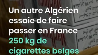 Un autre Algérien essaie de faire passer en France 250 kg de cigarettes belges