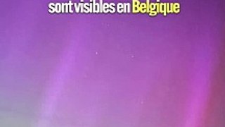 Des aurores boréales illuminent la Belgique