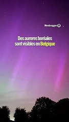Des aurores boréales illuminent la Belgique