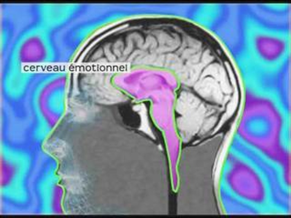 David Servan-Schreiber - Le cerveau emotionnel