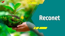 Punto Verde | Reconet: Liderando el camino hacia un futuro sostenible