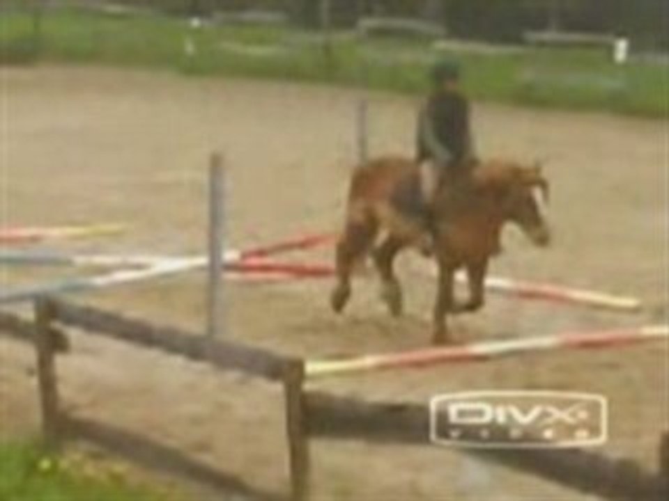 Séance de saut au treuil
