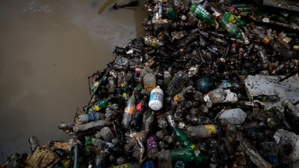 Experta en medio ambiente habló de los riesgos de la contaminación