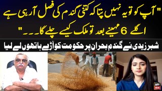 Pakistan's wheat crisis: Shabbar Zaidi criticizes the government