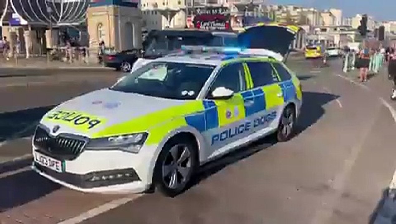 Brighton Pier incident: Armed officers and police dogs at scene