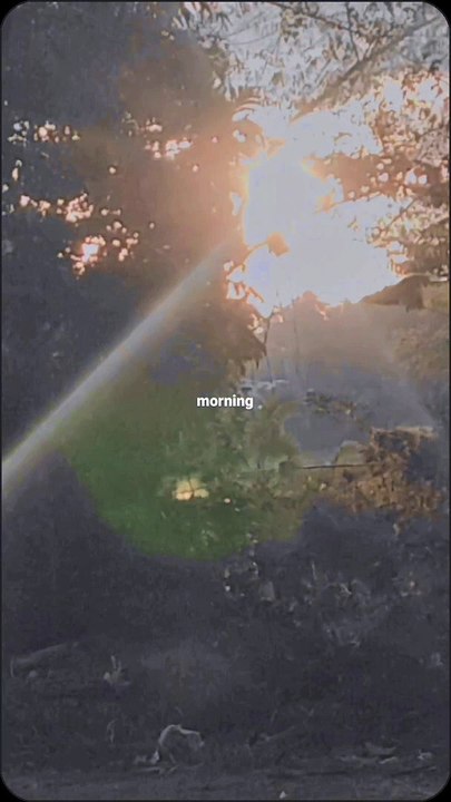 morning