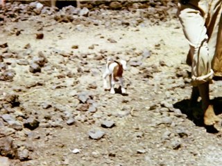 불의 딸들 | movie | 2023 | Official Trailer