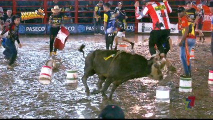Verano Toreado - Juego - El Toroboliche