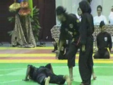 IPO 2008 4 ième démonstration de Silat Seni Gayong