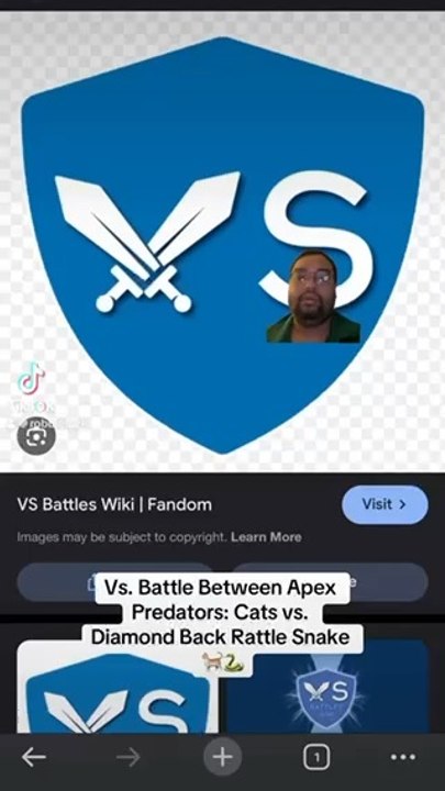 Vs. Battle