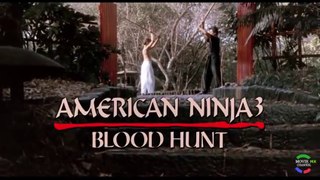 Ninja americano 3 pelicula completa español latino