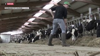 Crise agricole : ces aides européennes qui permettent l’installation des jeunes agriculteurs