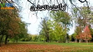 surah al kafairun | surah al kafirun with urdu translation by 786 cuisine | surah al kafiroon | سورة الكافرون