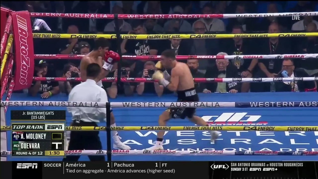 Andrew Moloney VS Pedro Guevara