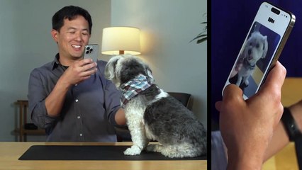 Dog meets GPT-4o