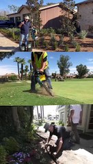 Urban Arborist Cowboy