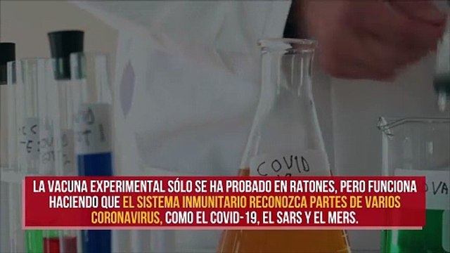 Científicos crean una vacuna pandémica contra coronavirus desconocidos