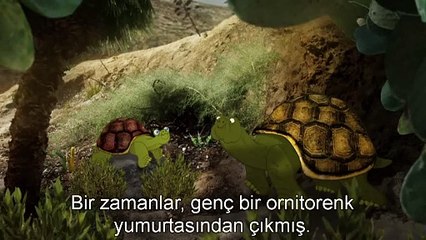 Ornitorenkin neden bu kadar sıradışı görünümü var