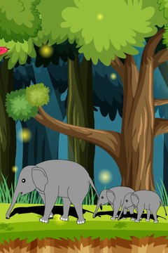 elephant animation with birds new animation