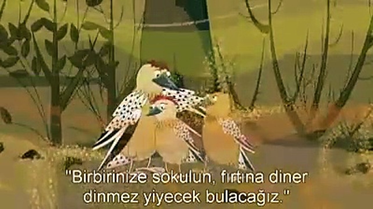 Kaktüs neden çöllerin en verimli bitkisidir