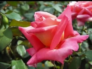 Фрэнсис Гойя - Вечность...