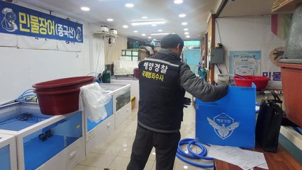 중국산 민물장어 국산 둔갑시켜 판 수산업체 대표 송치 / YTN
