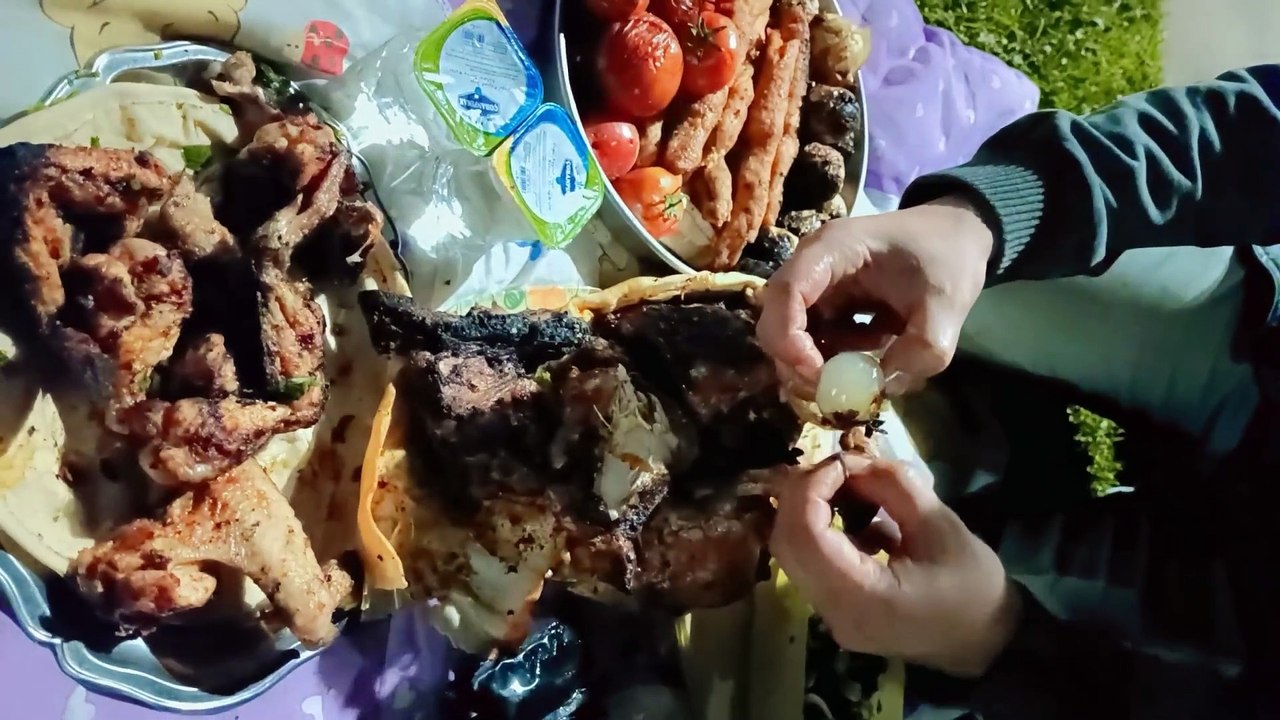 رحنا شوينا بالخليج باسطنبول والكلب هجم على اكلاتنا