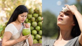 गर्मियों में नारियल पानी पीने का सही समय क्या है |Right Time To Drink Coconut Water In Summer Season