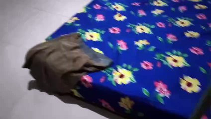 A Cozy Look at My Room & Personal Space 🏡