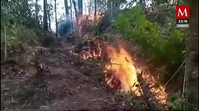 Tres incendios forestales liquidados por Protección Civil de Chiapas
