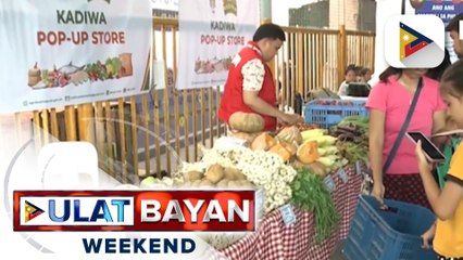 Full implementation ng food stamp program, kasado na sa Hulyo
