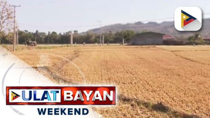 下载视频: Mga hakbang ng pamahalaan para tugunan ang epekto ng El Niño, tuloy-tuloy; paghahanda sa La Niña...