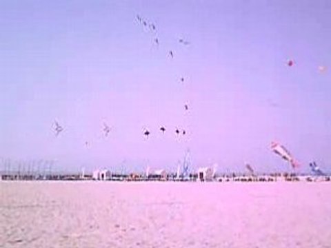 Tournoi du cerf-volant a Berck-plage