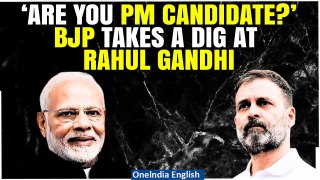‘Who Is Rahul Gandhi?’: BJP Slams Rahul Gandhi as he Accepts Invitation To Debate With PM Modi