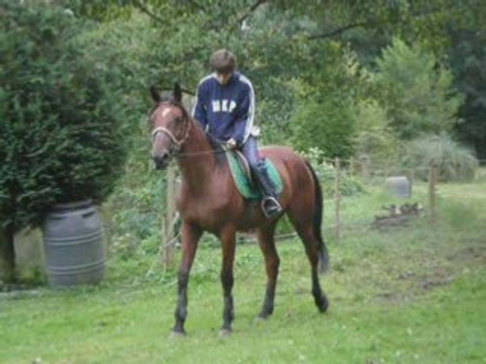 SansTitre_0002