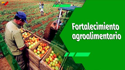Cultivando Patria | Fortalecimiento de la Zona Económica Especial Agroalimentaria de Oriente