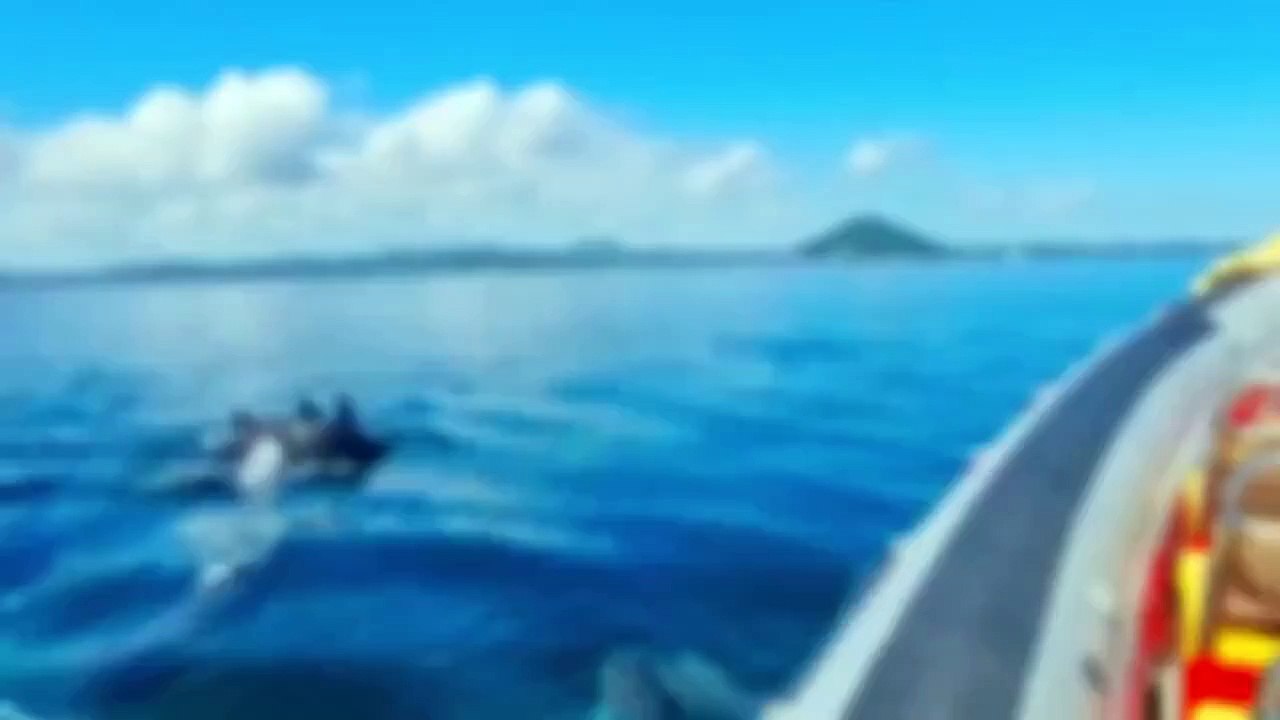 sea