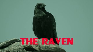 The Raven • Suspenseful Gansta Hip-Hop Rap / Background Music For Videos (FREE DOWNLOAD)
