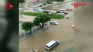 Adana'da sağanak ve fırtına: Ağaçlar devrildi, yollar suyla doldu