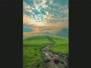 Jeso apetrako aminao