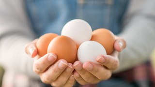 The Absolute Best & Worst Egg Brands To Buy