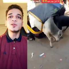 الفديو ده هيخليك تموت من الضحك   