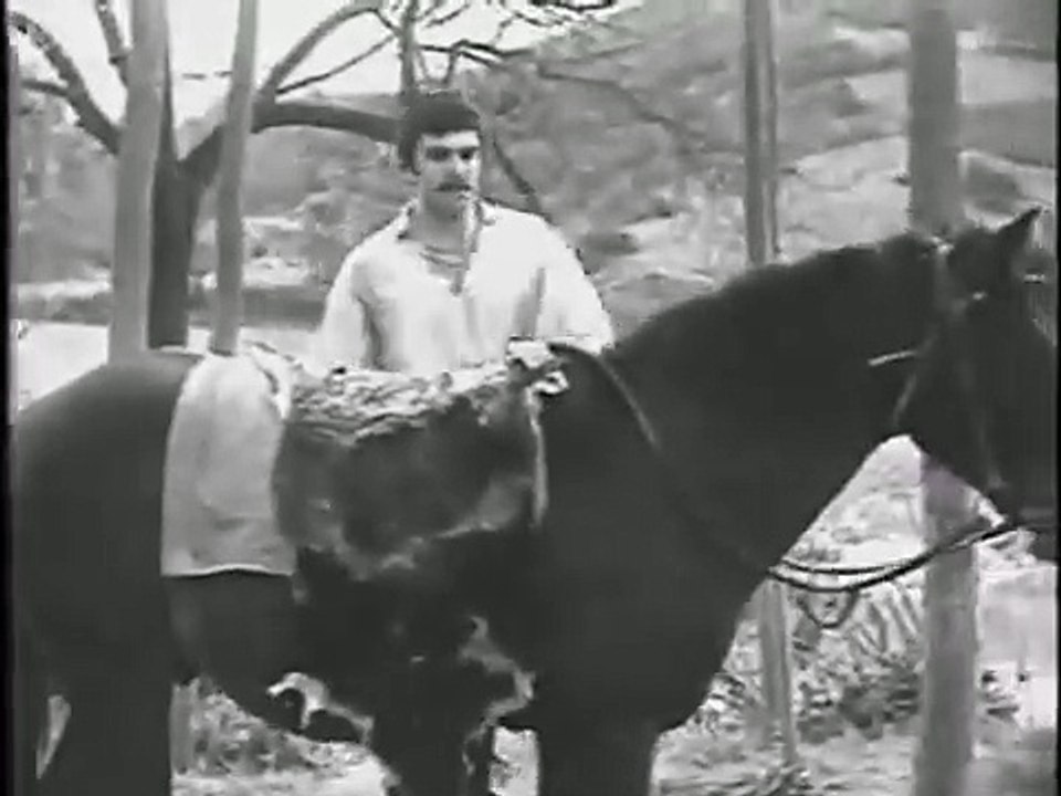 Gültekin Asya Kartalı